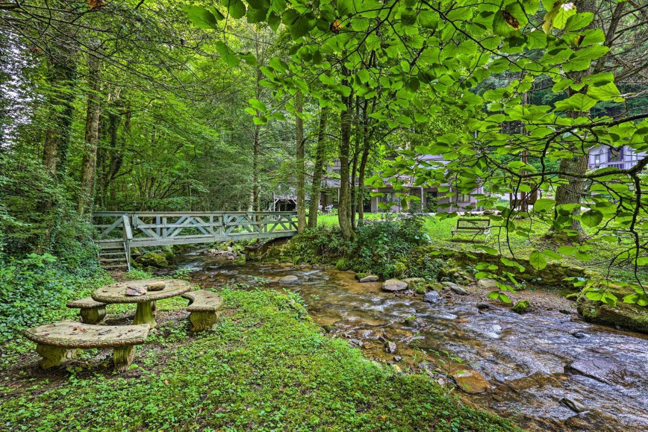 Roan Mountain Creekside Cabin Hike And Fish! 외부 사진