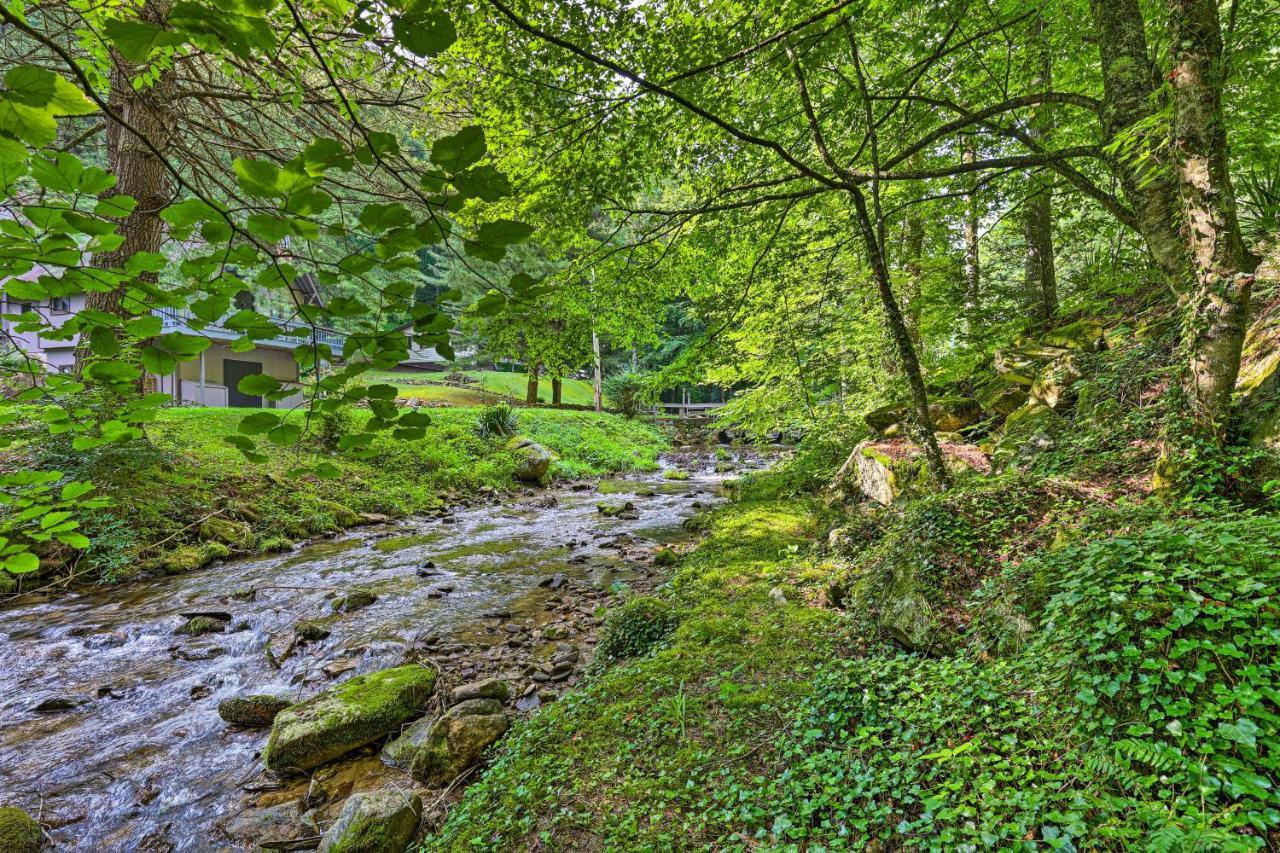 Roan Mountain Creekside Cabin Hike And Fish! 외부 사진