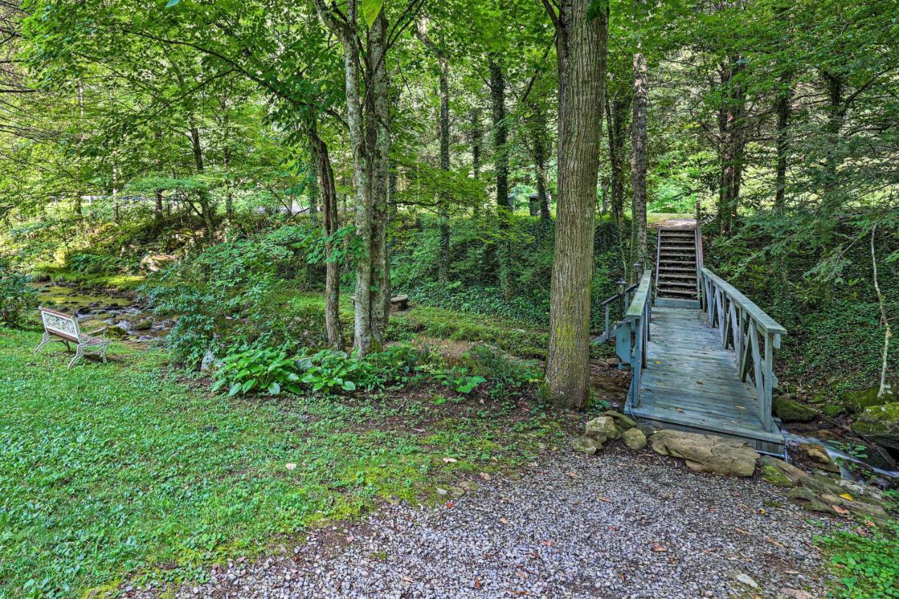 Roan Mountain Creekside Cabin Hike And Fish! 외부 사진